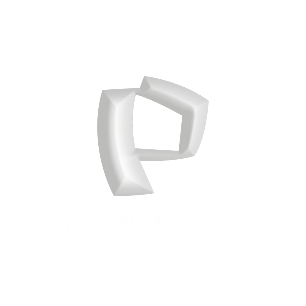 panamericana_Mesa de trabajo 1